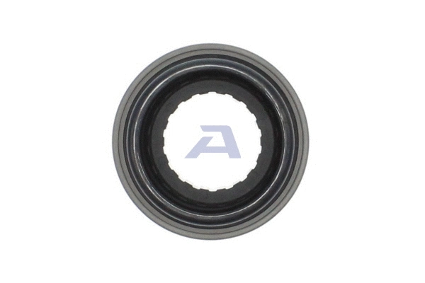 Butée de débrayage AISIN BK-002
