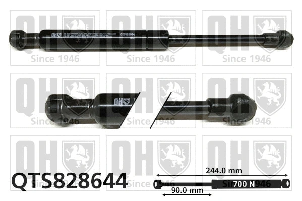 Vérin, capot-moteur QUINTON HAZELL QTS828644