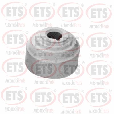 Support moteur ETS 15.EM.001