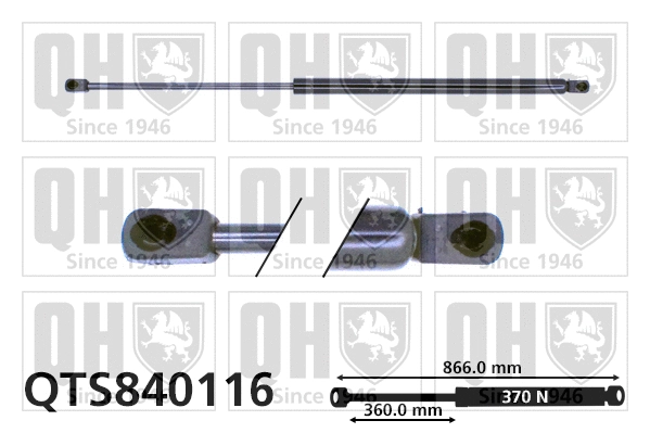 Vérin de hayon, de coffre QUINTON HAZELL QTS840116