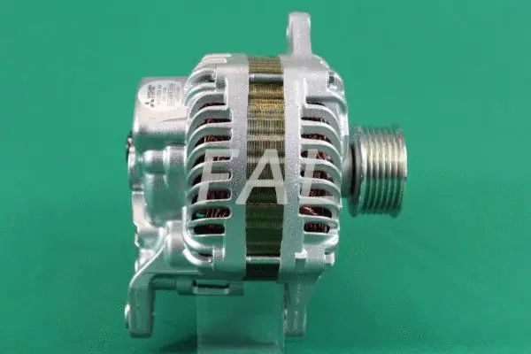 Alternateur FAL Anlasser- und Lichtmaschinenservice F013900/1