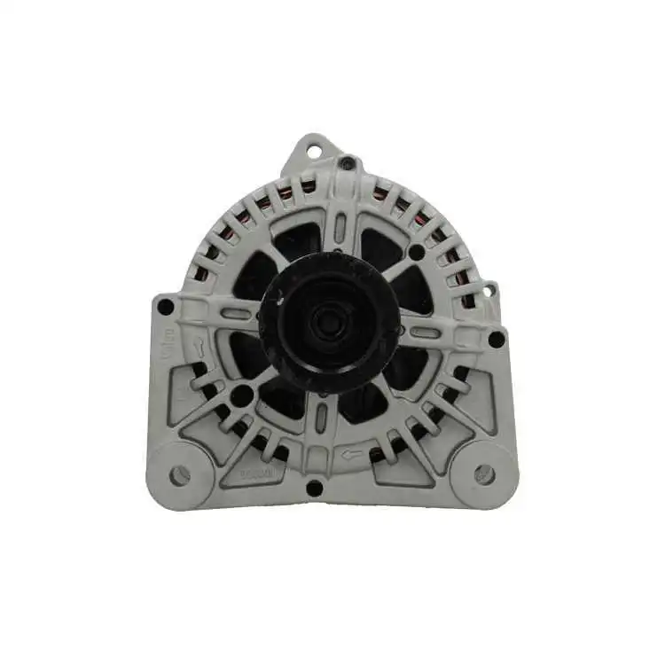 Alternateur BV PSH 575.549.110.505