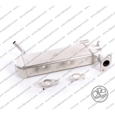 Radiateur, réaspiration des gaz d'échappement DIPASPORT EGR341DPSN