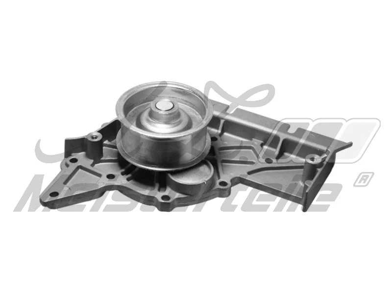 Pompe à eau, refroidissement du moteur A.Z. Meisterteile AZMT-30-100-1347