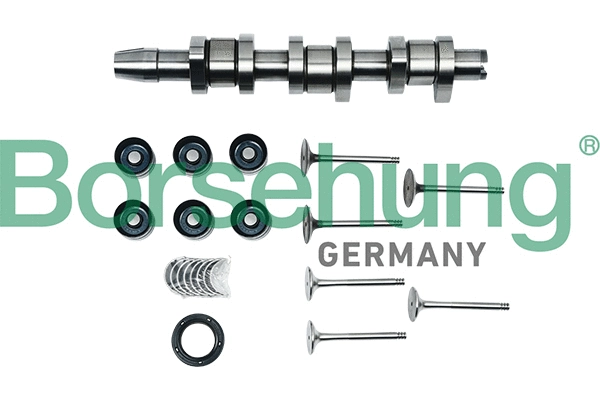 Kit de réparation, arbre intermédiaire Borsehung B17130