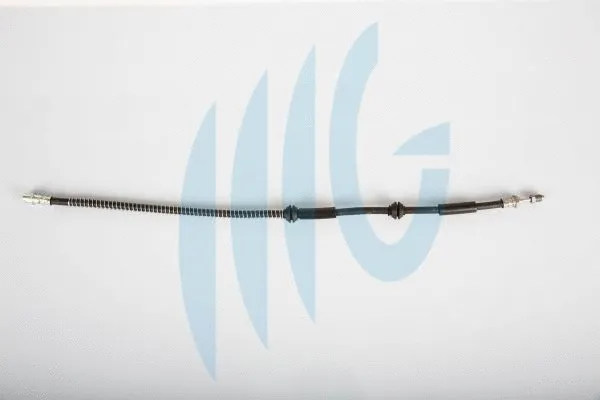 Flexible de frein RICAMBIFLEX GM 02020167