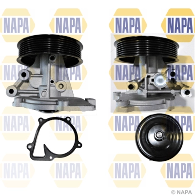 Pompe à eau, refroidissement du moteur NAPA NWP1212