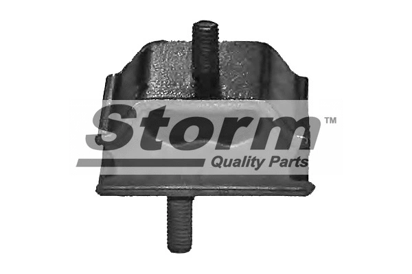 Suspension, corps de l'essieu STORM QUALITY PARTS F1907