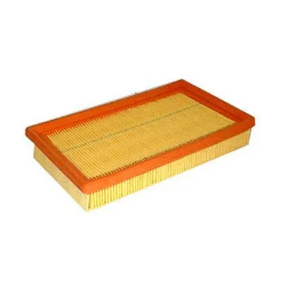 Filtre à air FI.BA FA-3980