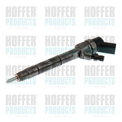 Injecteur HOFFER H74298R