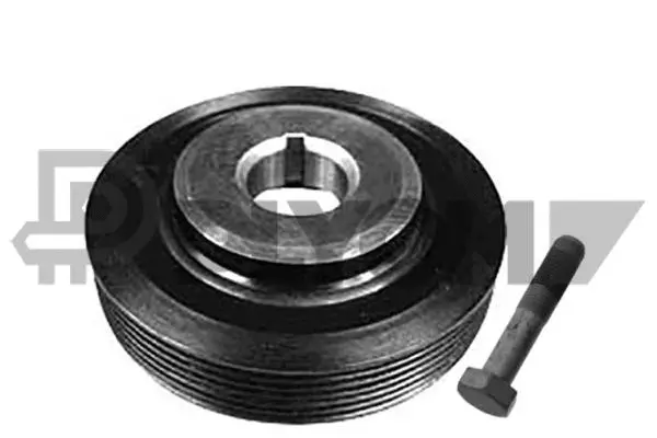 Kit de poulies, vilebrequin PLYOM P752334