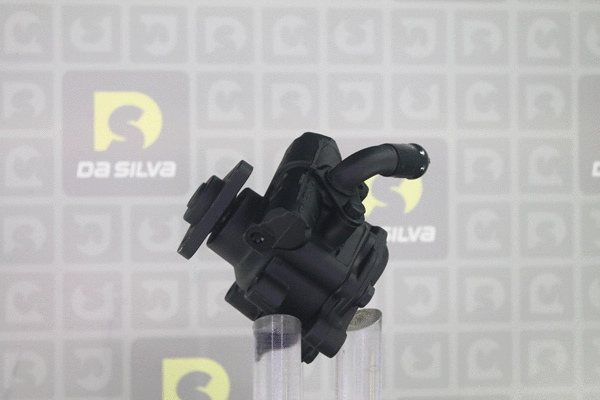 Pompe hydraulique, direction DA SILVA DP3018
