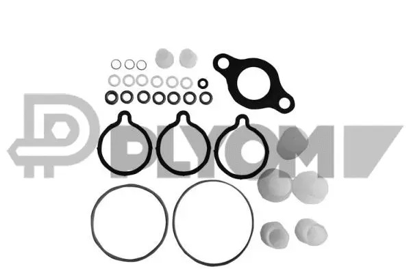 Kit de réparation, unité pompe-injecteur PLYOM P752352