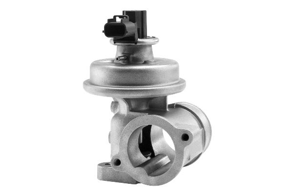 Vanne EGR BorgWarner 710923R