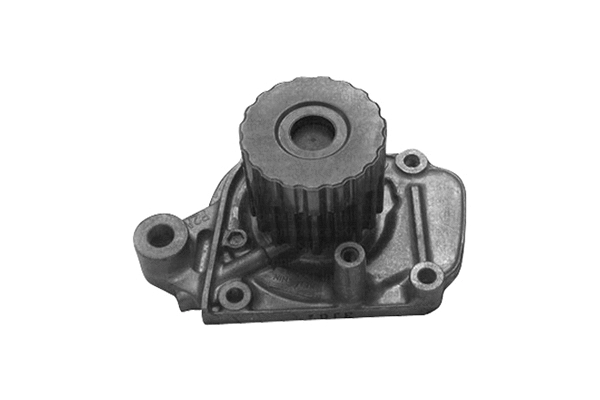 Pompe à eau, refroidissement du moteur SKF Brazil VKPC 93000