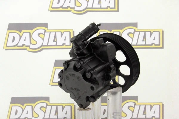 Pompe hydraulique, direction DA SILVA DP2874