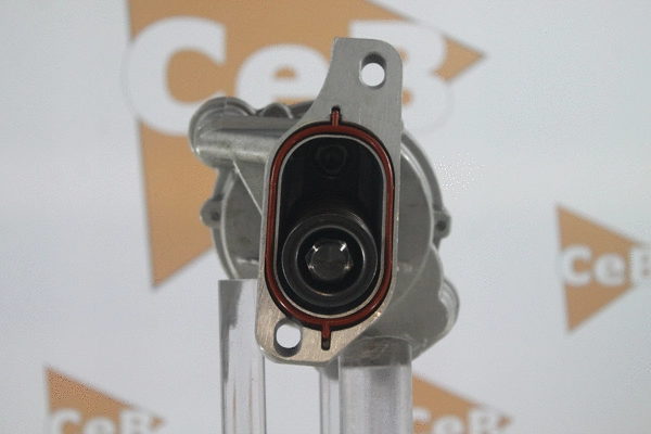 Pompe à vide, freinage DA SILVA PV4025