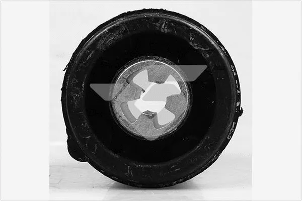 Suspension, corps de l'essieu HUTCHINSON 590182