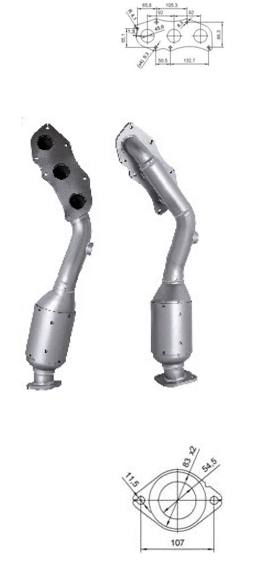 Catalyseur VEGAZ GmbH TK-859
