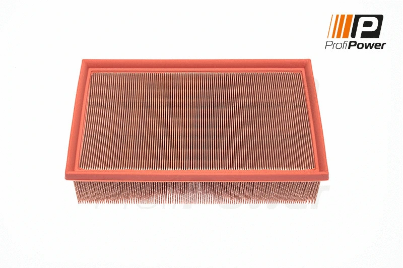 Filtre à air ProfiPower 2F0020