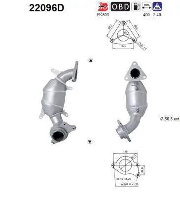 Catalyseur AS 22096D
