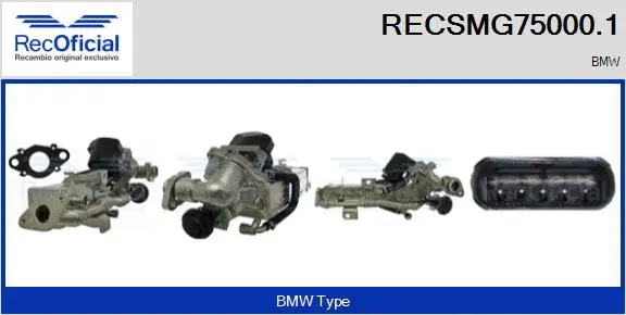 Module-EGR RECOFICIAL RECSMG75000.1