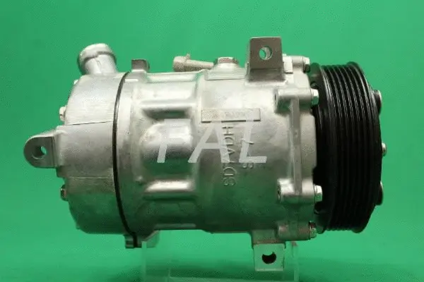 Compresseur, climatisation FAL Anlasser- und Lichtmaschinenservice F005433/4