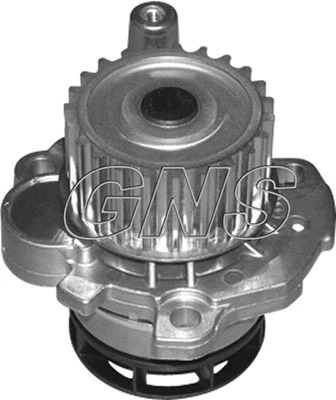 Pompe à eau, refroidissement du moteur GNS YH-V164