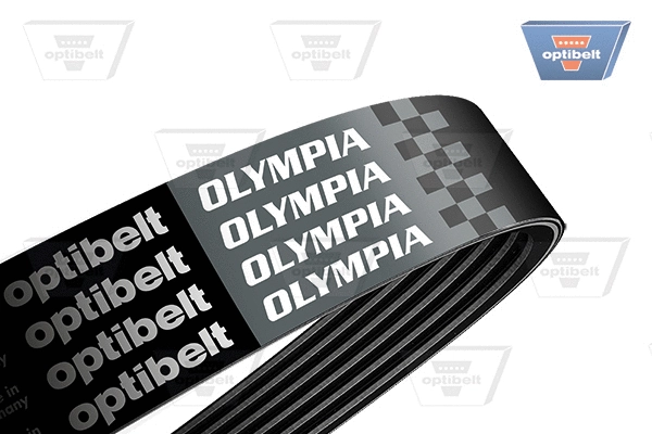 Courroie trapézoïdale à nervures OPTIBELT 6 PK 1502 OLYMPIA
