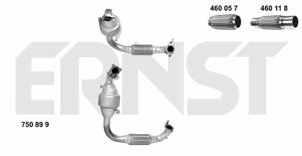 Catalyseur ERNST 750899