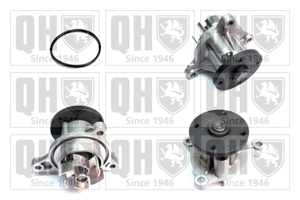 Pompe à eau, refroidissement du moteur QUINTON HAZELL QCP3890
