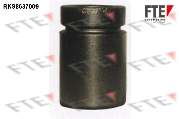 Piston, étrier de frein FTE 9313351