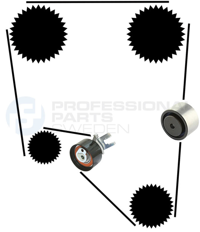 Kit de courroie crantée Professional Parts 21430038