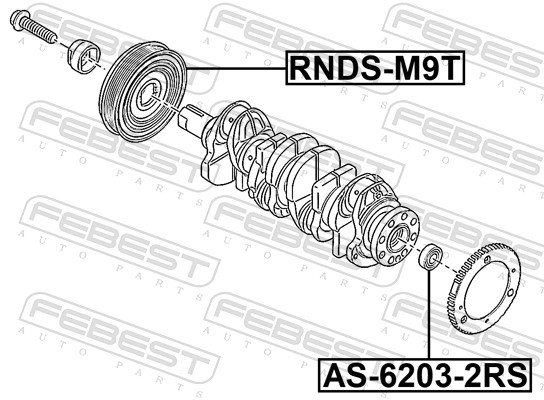 Poulie, vilebrequin FEBEST RNDS-M9T