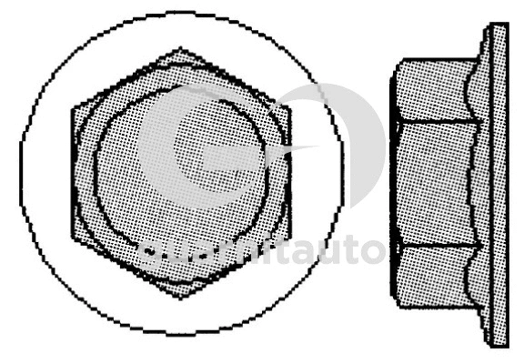 Jeu de boulons de culasse de cylindre GUARNITAUTO 700502-1010