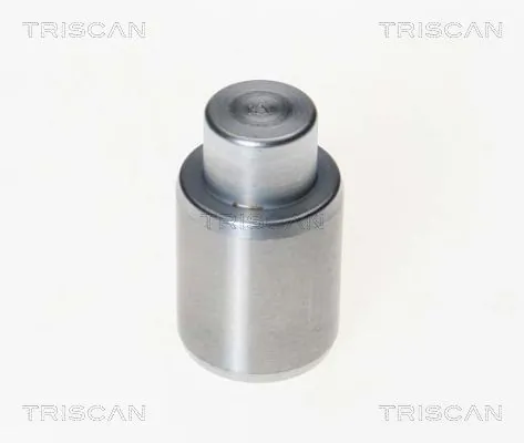 Piston, étrier de frein TRISCAN 8170 233003