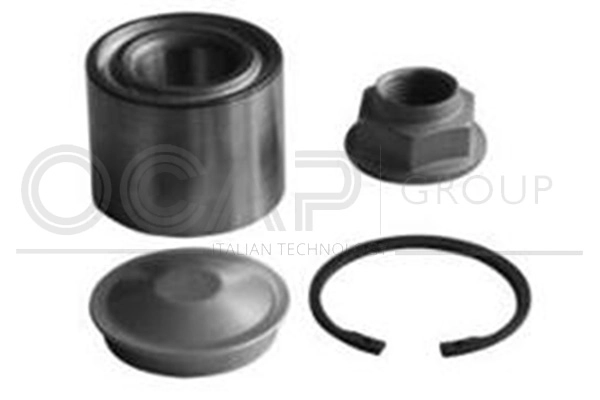 Kit de roulements de roue OCAP 6120187
