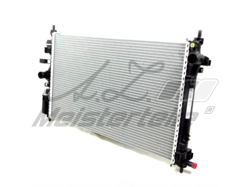 Radiateur, refroidissement du moteur A.Z. Meisterteile AZMT-45-040-2650
