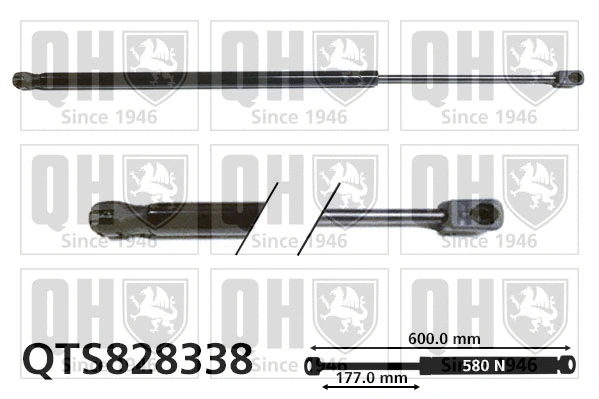 Vérin de hayon, de coffre QUINTON HAZELL QTS828338