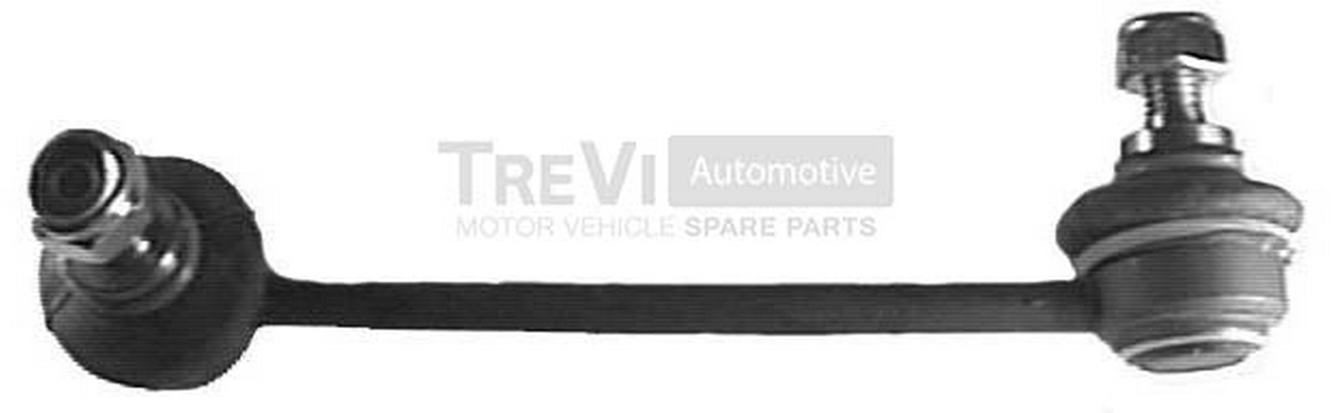 Entretoise/tige, stabilisateur TREVI AUTOMOTIVE TRTT5538