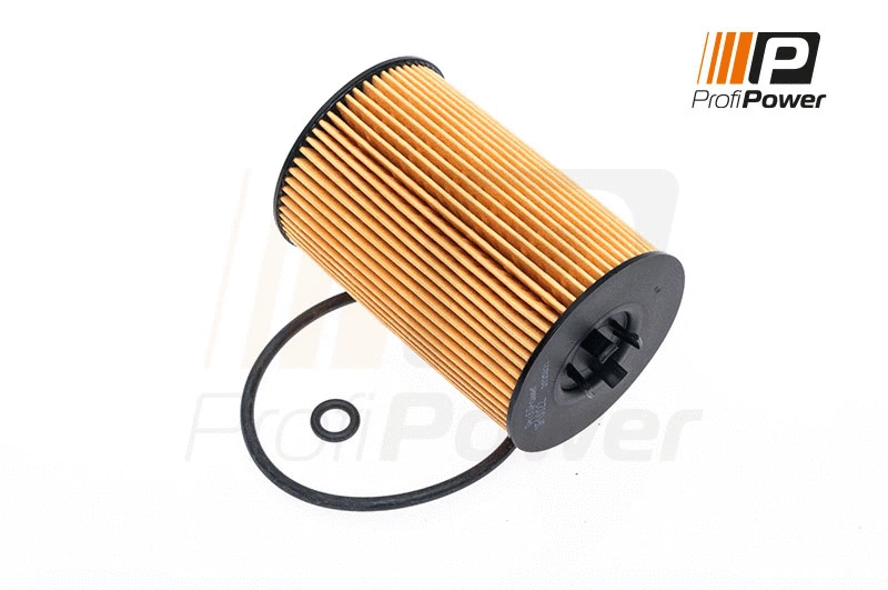 Filtre à huile ProfiPower 1F0022