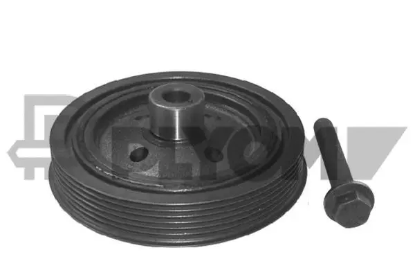 Kit de poulies, vilebrequin PLYOM P752343
