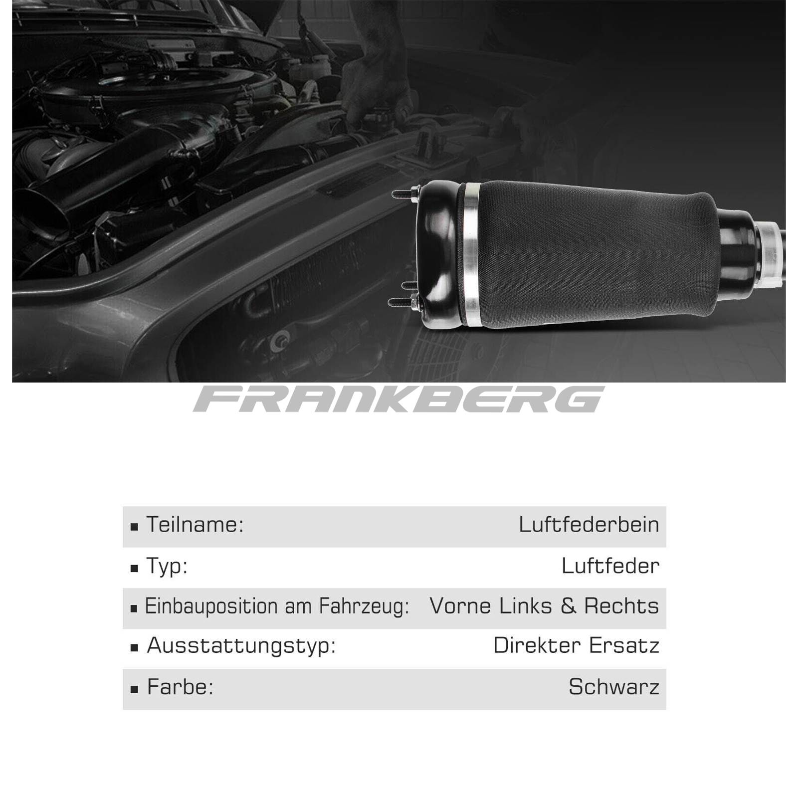 Armortisseur pneumatique Frankberg 5481FB0002265
