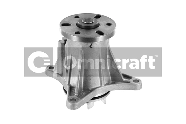 Pompe à eau, refroidissement du moteur Omnicraft 2317240