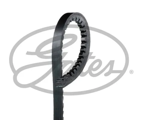 Courroie trapézoïdale GATES-SEA V10X925
