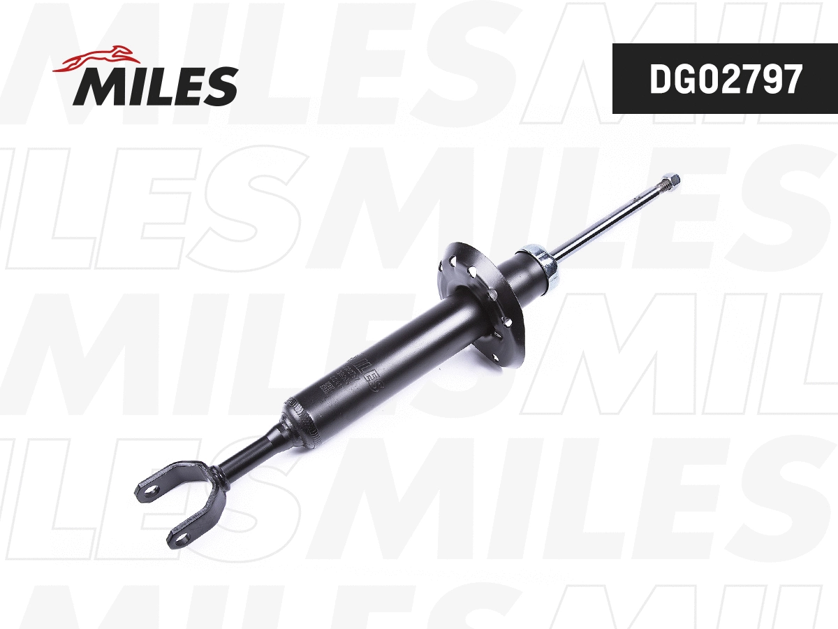 Amortisseur MILES DG02797