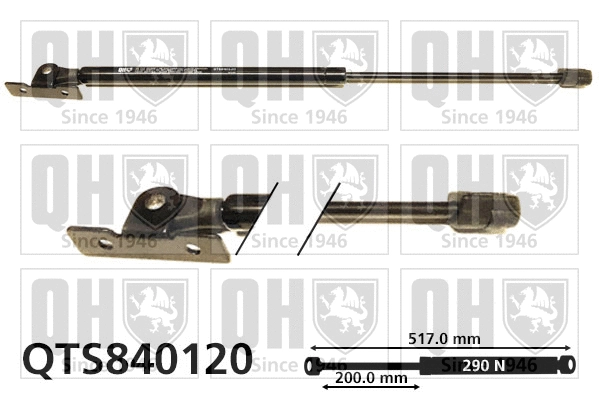 Vérin, capot-moteur QUINTON HAZELL QTS840120