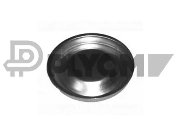Couvercle de protection, moyeu de roue PLYOM P951014