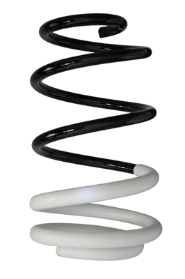 Ressort de suspension SPIDAN 88008