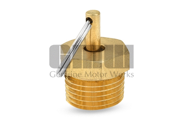 Valve de purge GMW VL9340030
